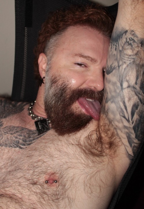 Ginger Daddy Pit Sniffer